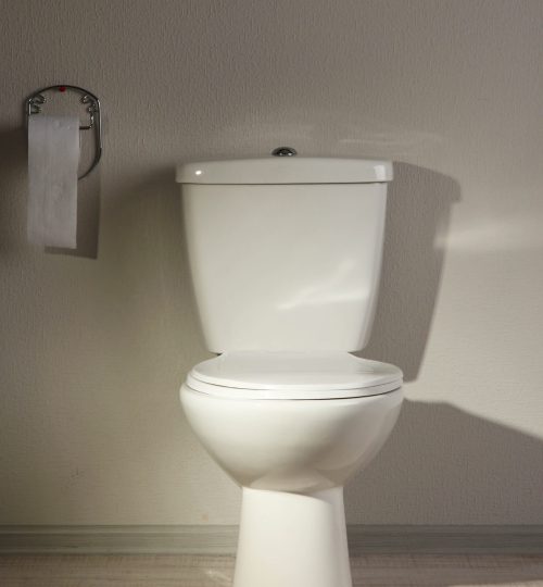 Toilet bowl in a bathroom